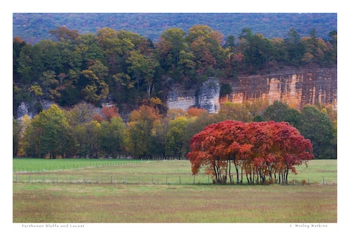 Parthenon Bluffs in Fall